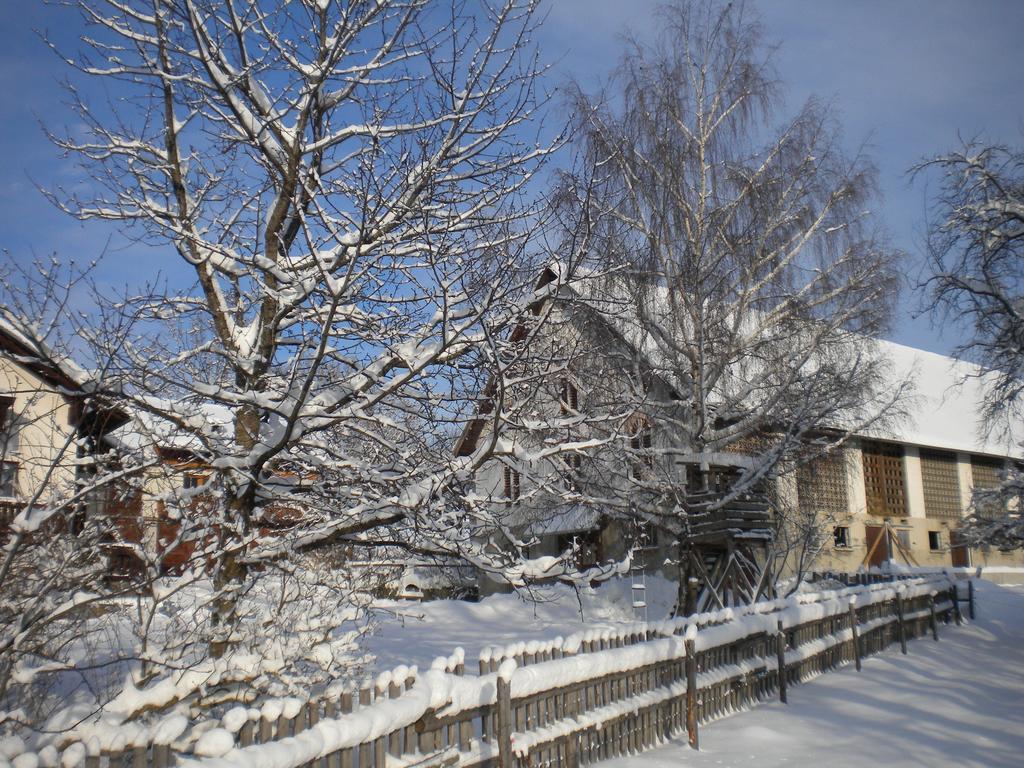 Naturpark Bauernhof Sperl Mariahof Bagian luar foto